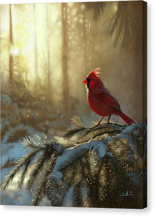 Cardinal in Snow - Canvas Print