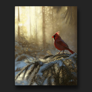 Cardinal in Snow